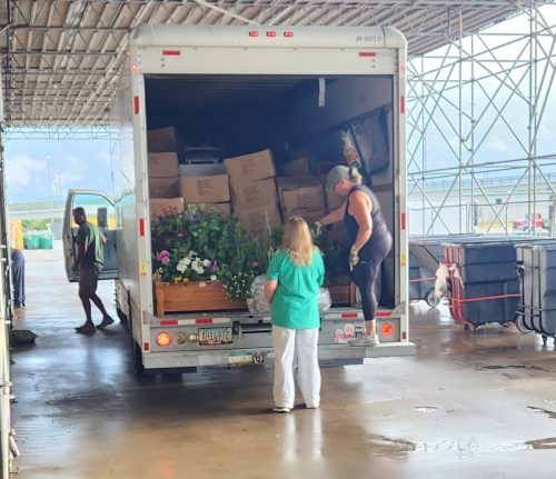 516868965 10236483248717252 5754210121492635172 n