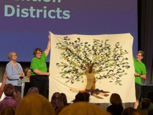 PXL 20250629 152523661